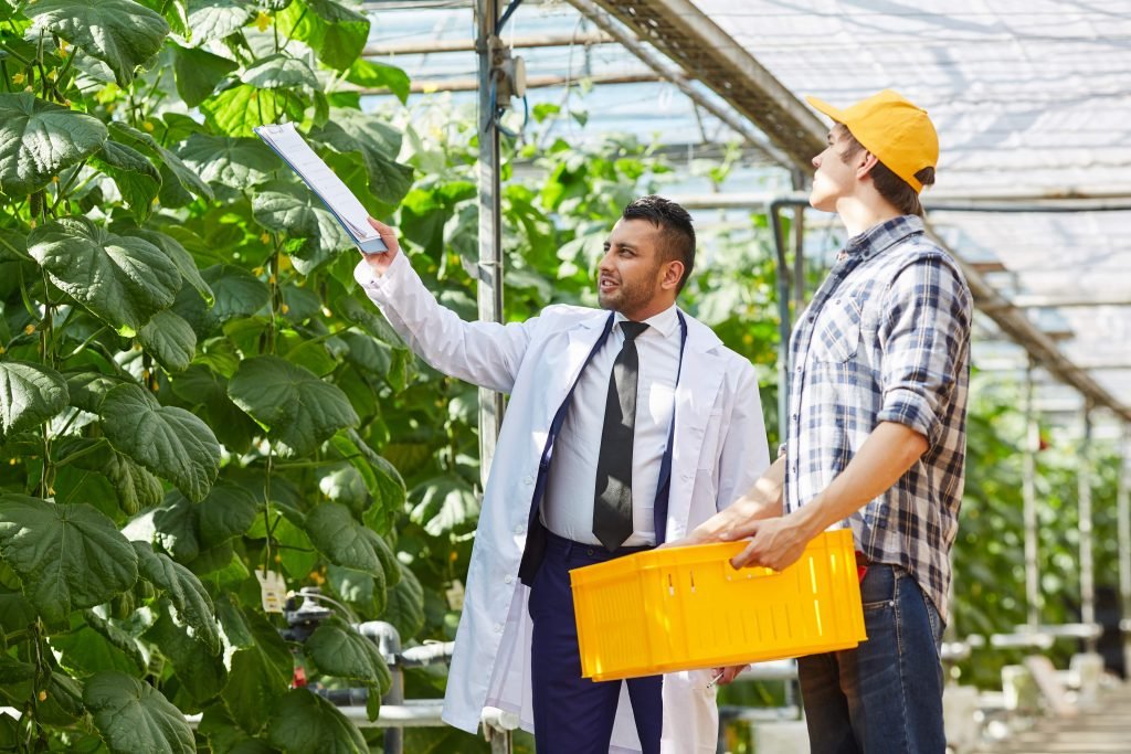 agricultural-inspector-talking-to-greenhouse-6ujrcqa-min-denetim